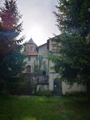 Dvorac Bosiljevo i Dvorac Severin