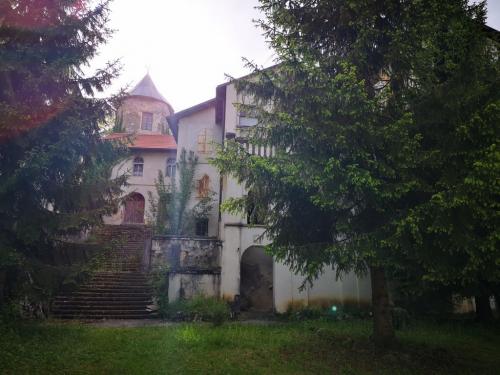 Dvorac Bosiljevo i Dvorac Severin