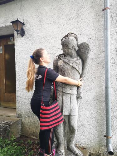 Dvorac Bosiljevo i Dvorac Severin