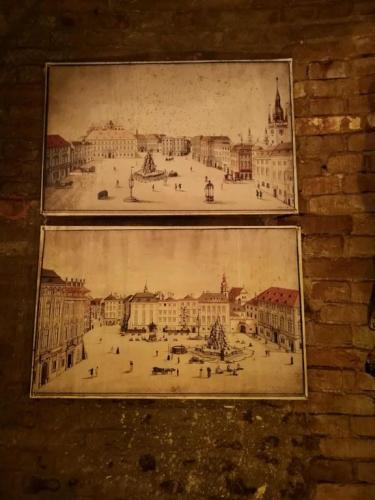 Czech Brno