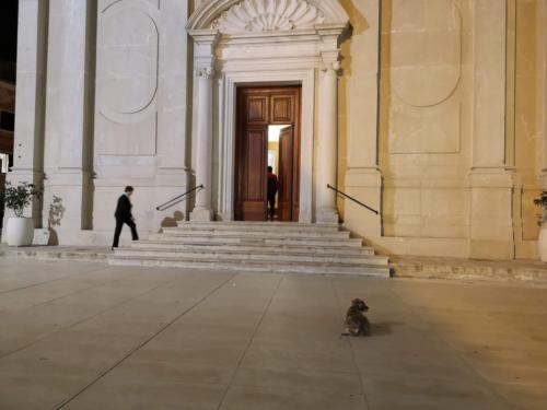 Istra, Umag, Buščina, Grobnik